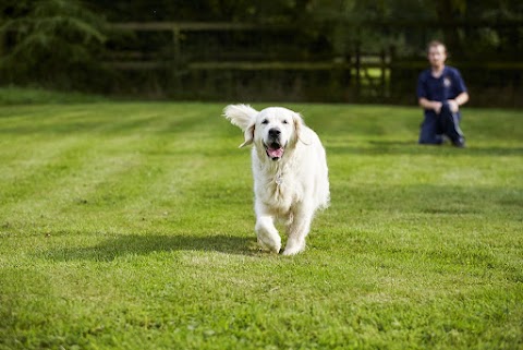 Newgate Kennels & Cattery Ltd