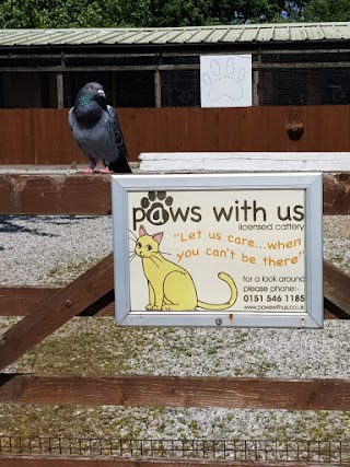 Paws With Us Cattery