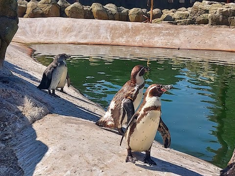 Lotherton Wildlife World