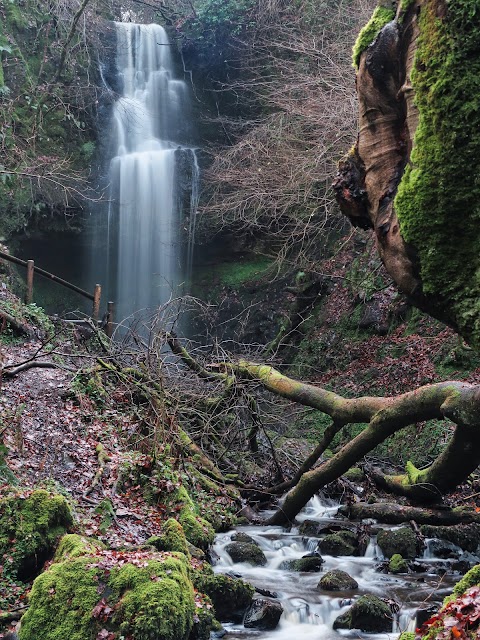 Craigie Linn (Waterfall)