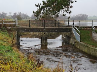 Summer leys