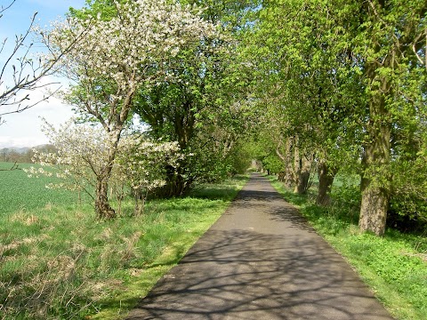 Gorton House & Cottages