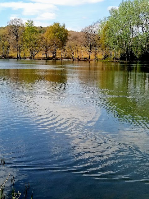 Allestree Park Lake