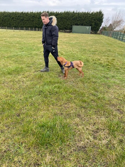 Scarisbrick Dog Walking Field