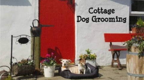 Cottage Dog Grooming