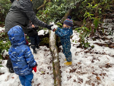 Forest Kindergarten Sevenoaks