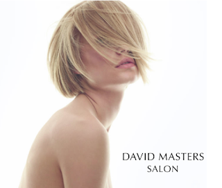 David Masters Salon