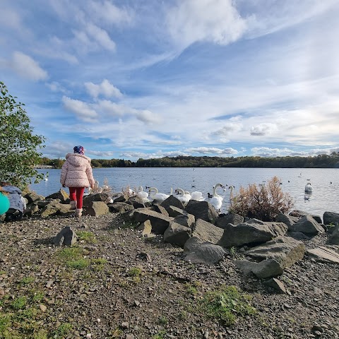 Drumpellier Country Park Playground