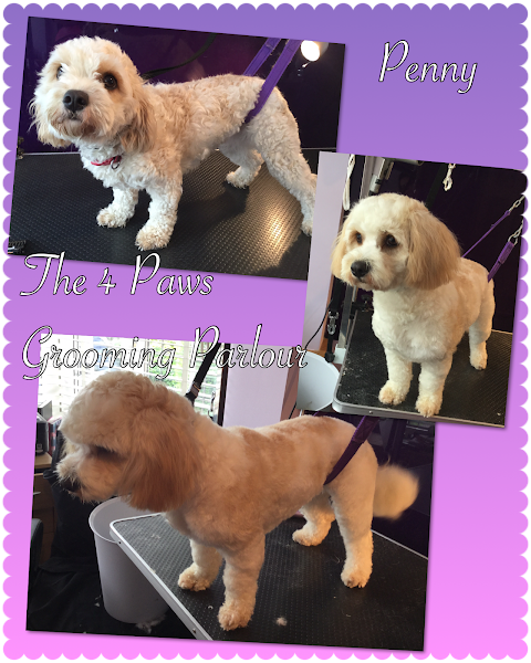 The 4 Paws Grooming & Boarding Services