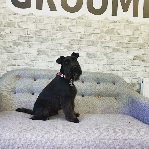 Groomerdos Dog Groomers