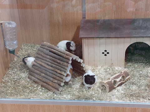 Pets At Home