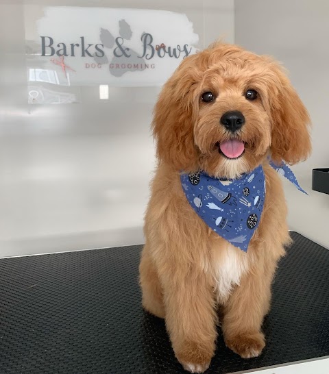 Barks & Bows Dog Grooming