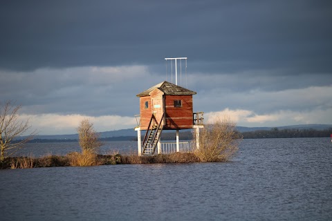 Oxford Island Nature Reserve