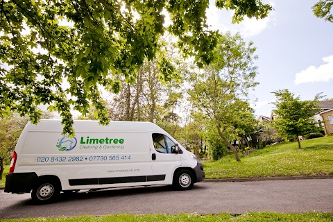 Limetree Maintenance