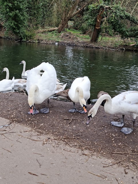 Rickmansworth Aquadrome