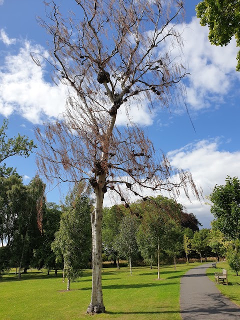 Botanic Gardens Cafe