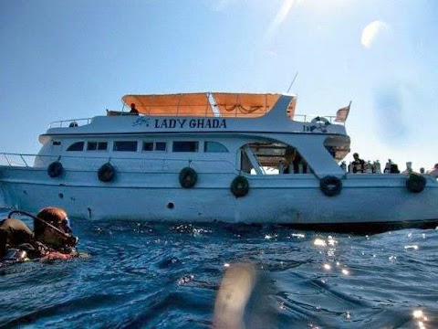 Oyster Diving School Surrey & Berkshire