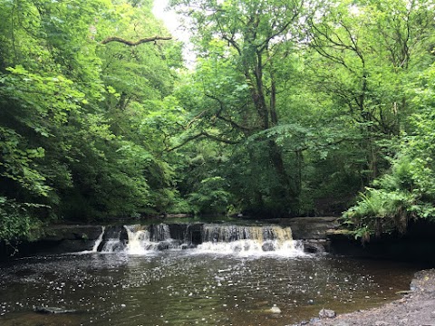 Calderglen Country Park and Zoo