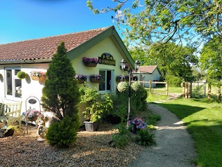 Orchard Boarding Kennels & Cattery