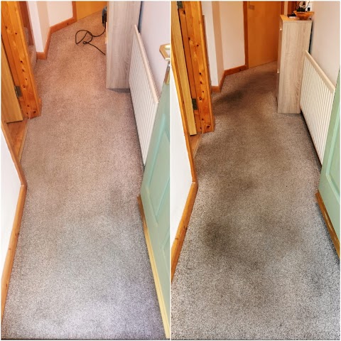 Cleanology NI - Carpet & Upholstery Cleaning