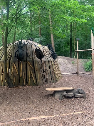 Ant Play Area