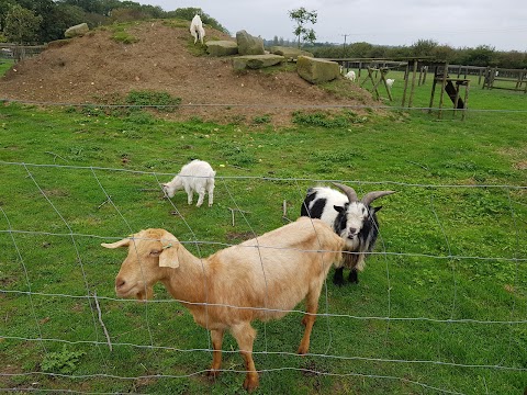 Ashlyn's Softplay and Farm Park