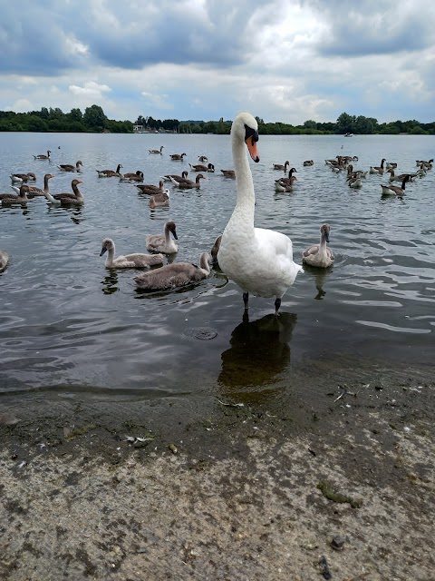 Fairlop Waters Country Park