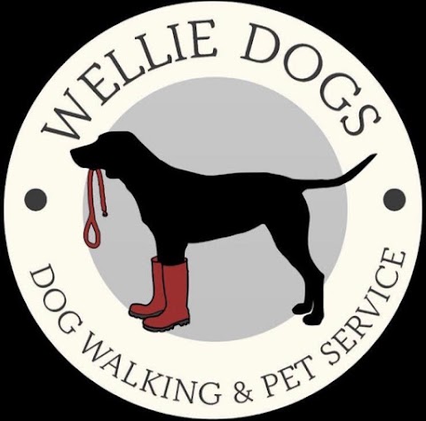 Wellie Dogs - Doggy Daycare & Dog Walking