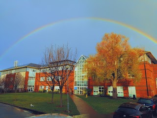 Trinity Translational Medicine Institute