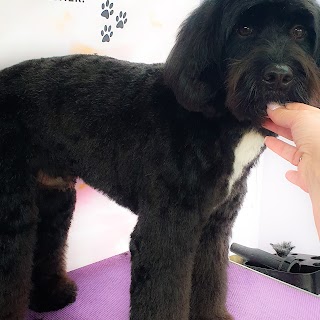 Gentle Touch Dog Grooming