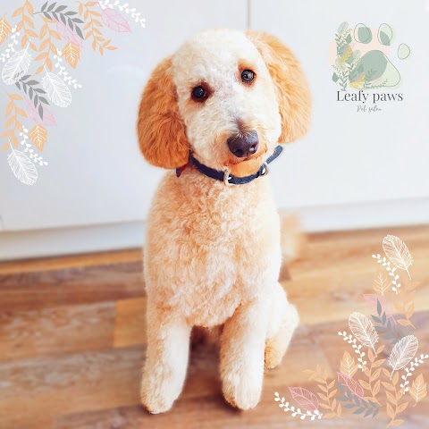 Leafy Paws Pet Salon