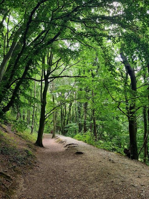 Loggerheads Country Park