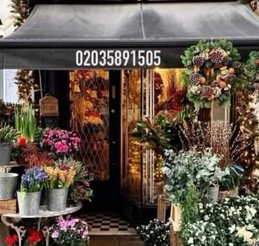 Phoenix Florists Ltd