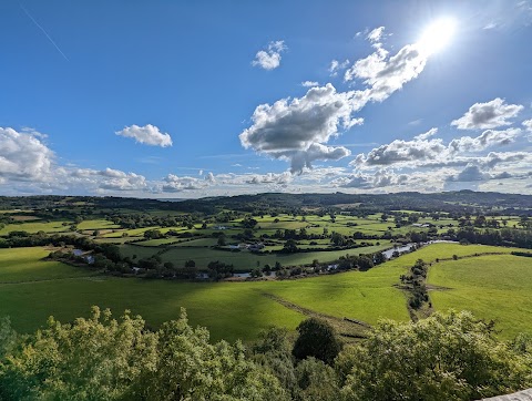 National Trust - Dinefwr