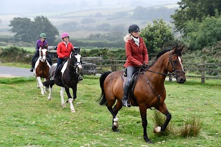 Liberty Trails - High End Horse Riding Holidays in England's Finest Countryside