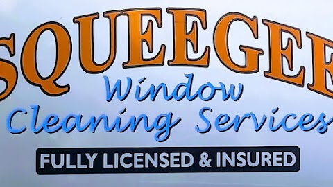 Squeegee Window Cleaning Services