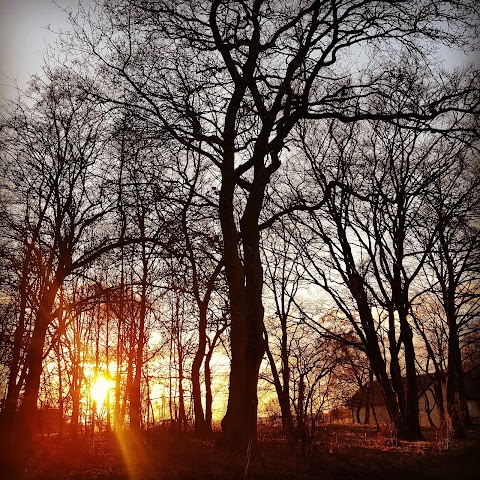 Gartmorn Dam Country Park