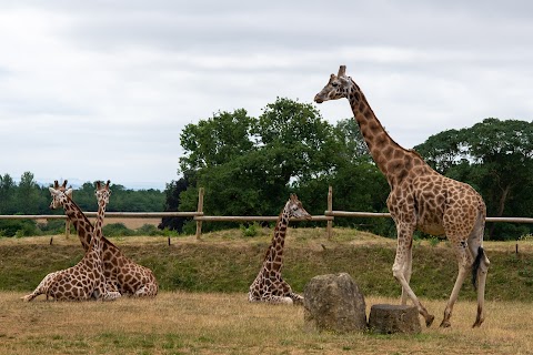 Cotswold Wildlife Park & Gardens