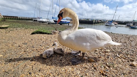 Titchfield Haven National Nature Reserve