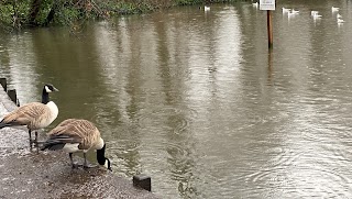 The Canons Park Estate pond