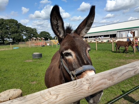 Attwell Farm Park