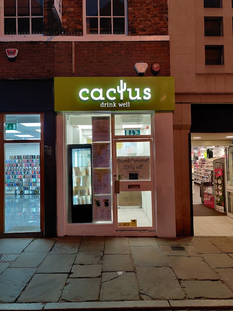 Cactus Drink Well Chester