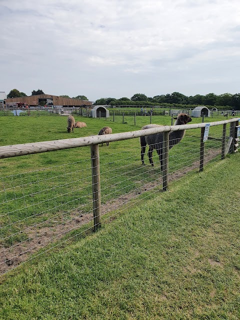 Attwell Farm Park