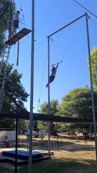 Gorilla Circus Regents Park Flying Trapeze School