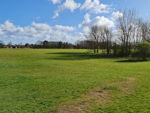 Hillfield Nature Reserve