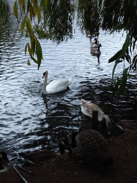 Waterside Centre