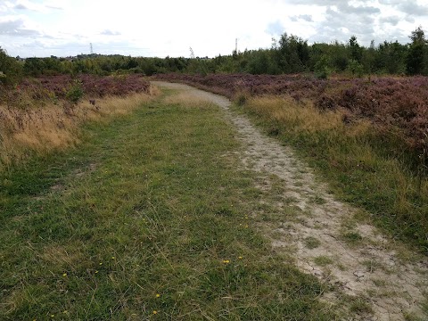 Colliery Nature Park