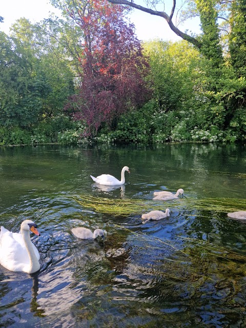 The White Swan, Southampton