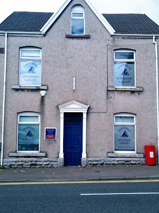 Campbells Veterinary Surgery - Brynhyfryd