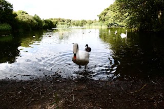 Straiton Pond Local Nature Reserve